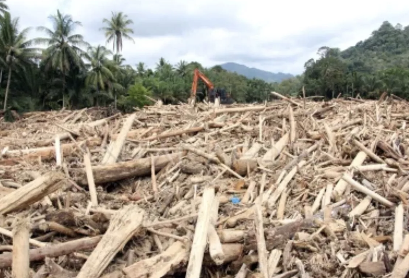 Komisi IV DPR Ajak Publik Beri Masukan Revisi UU Kehutanan