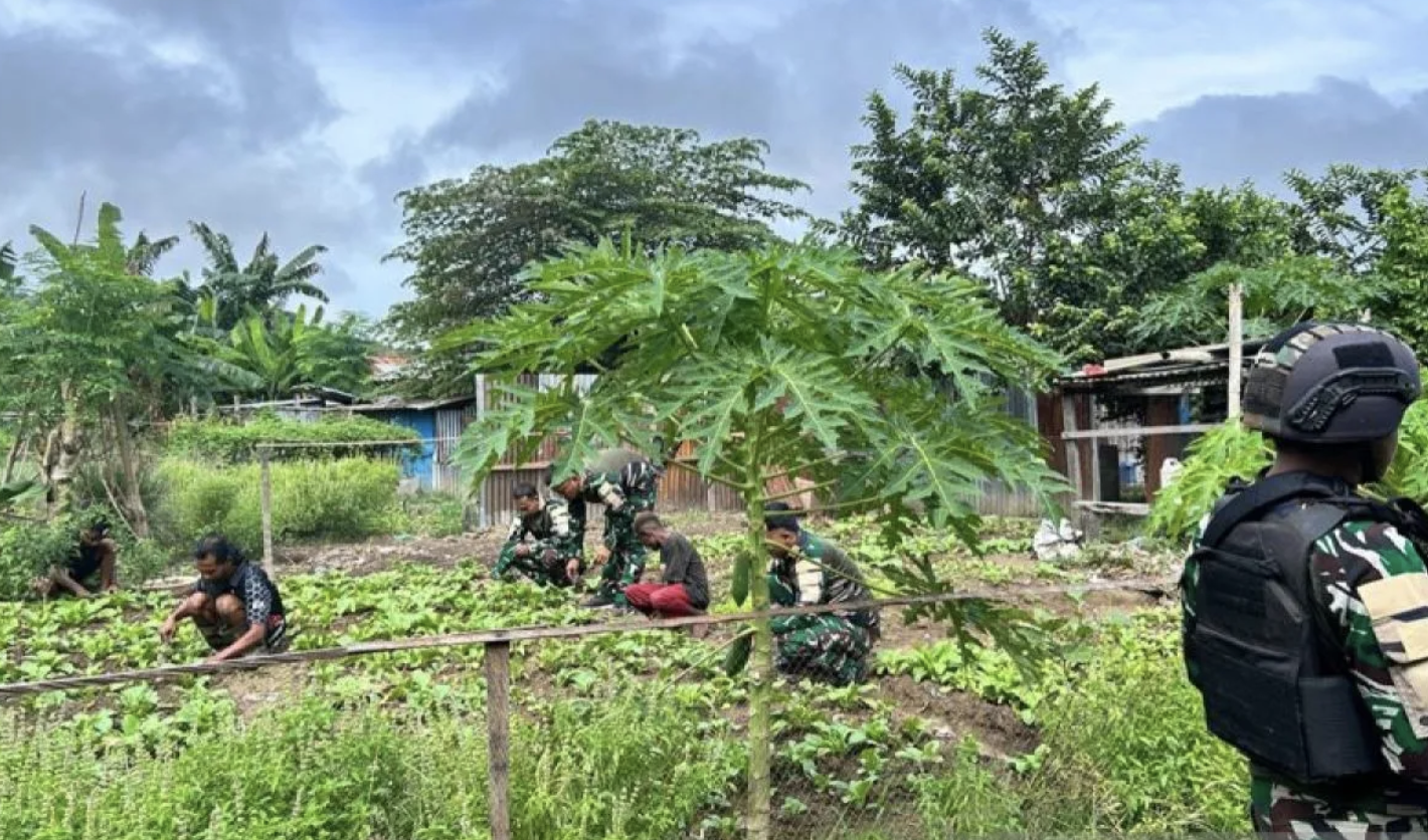Satgas TNI Edukasi OAP Optimalkan Lahan Tidur untuk Pertanian Keluarga di Distrik Dabra