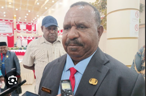 PSN Percepat Kemandirian Papua dalam Kerangka Pembangunan Nasional