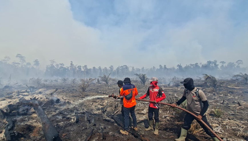 BNPB Perkuat Respons Karhutla, Kolaborasi Daerah dan Masyarakat Jadi Kunci Perlindungan Warga