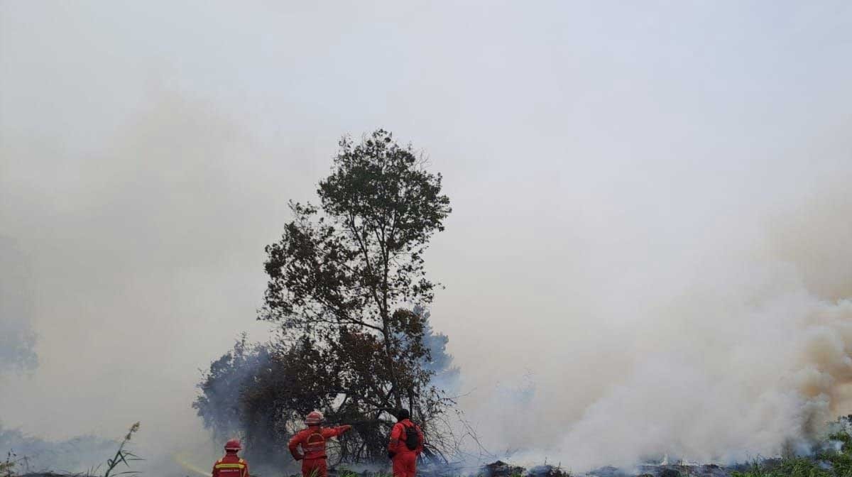 118 Titik Panas Terdeteksi di Kalteng-Kalbar, Pemerintah Perkuat Penanganan Karhutla