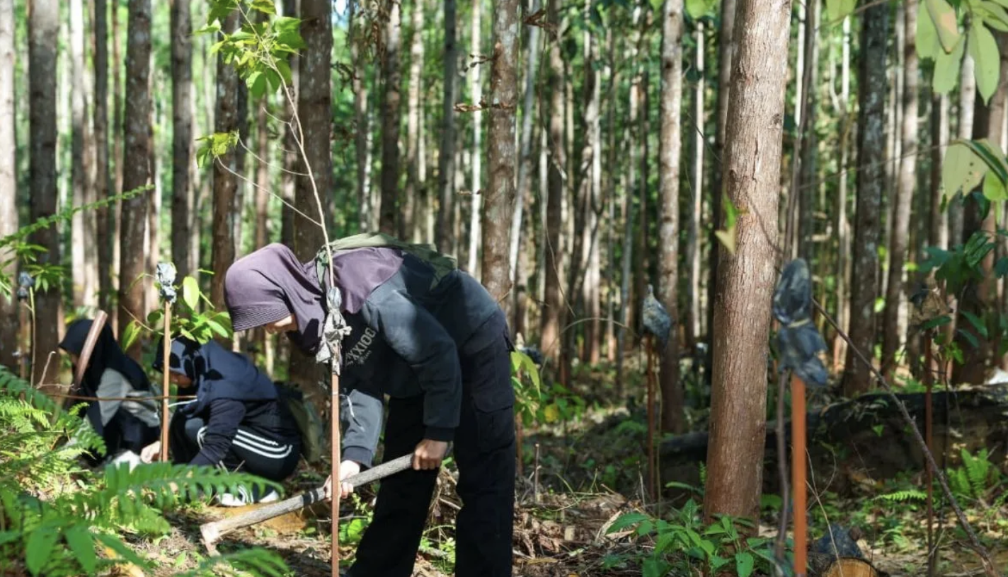IKN Menuju Kota Hutan Berkelanjutan, Pengunjung Diajak Tinggalkan Jejak Hijau