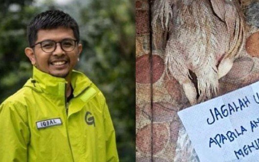 Diteror, Aktivis Greenpeace Nilai Intimidasi Ditujukan untuk Membungkam Kritik