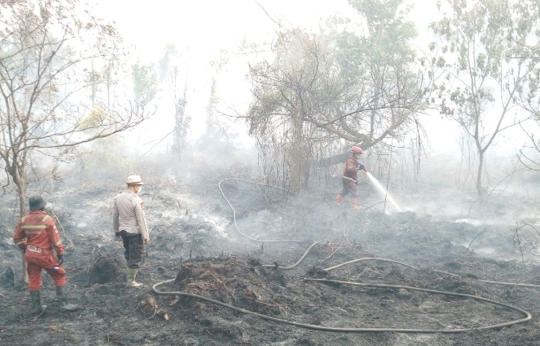 Tingkatkan Mitigasi Bencana, Prabowo Pesan Pesawat Besar Water Bombing