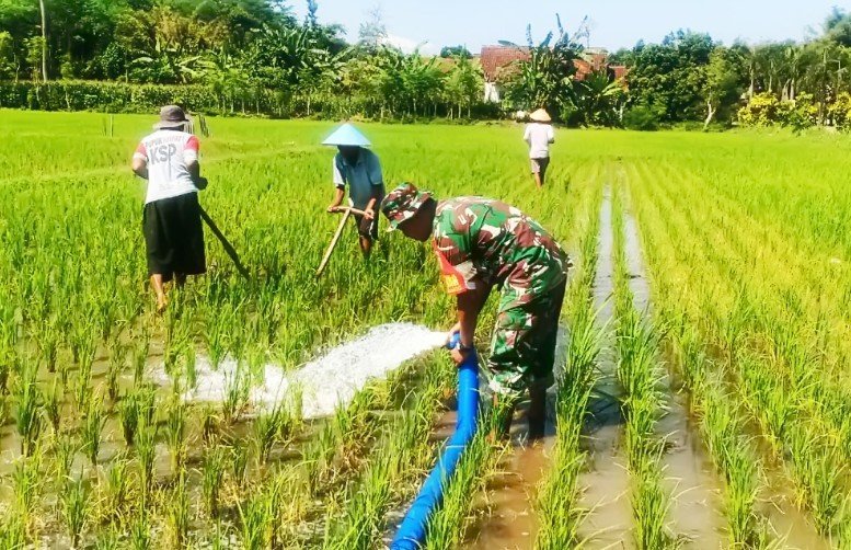 TNI Perkuat Ketahanan Pangan di Pedesaaan Sukoharjo