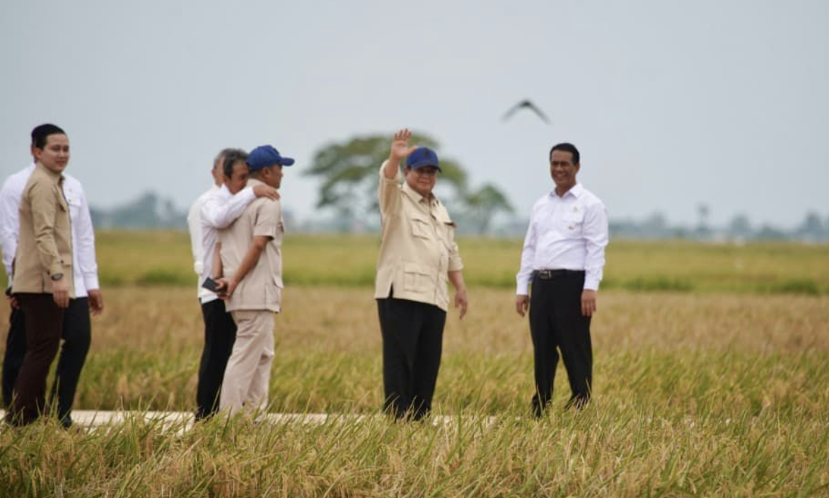 Combine Harvester hingga Drone, Teknologi Jadi Kunci Swasembada Pangan