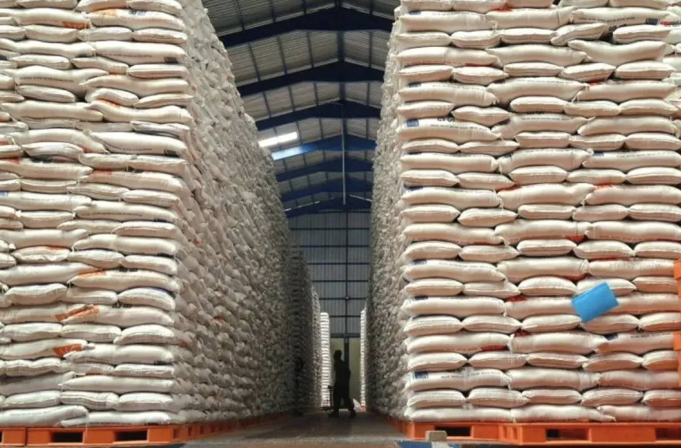 Beras Cukup Tanpa Impor, Pemerintah Fokus Jaga Harga Konsumen