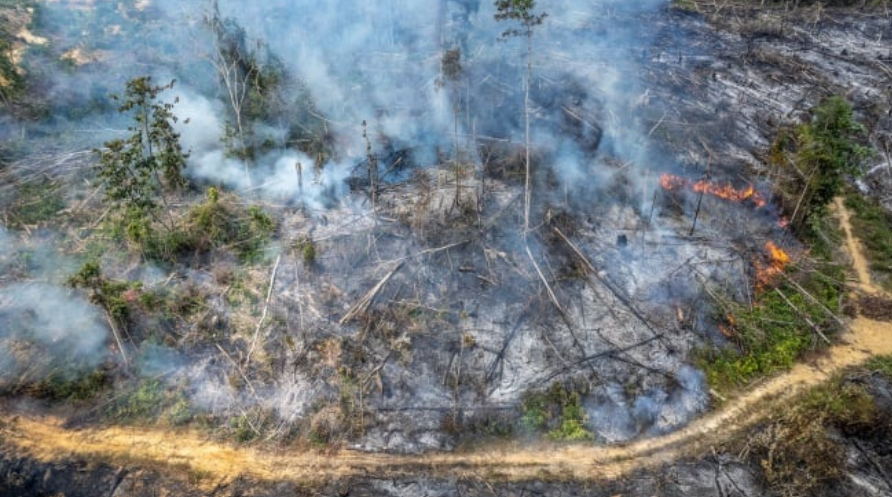 35 Pesawat dari Rusia hingga AS Bantu Padamkan Karhutla Kalimantan