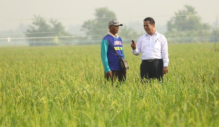 Pemerintah Tegaskan Program Pertanian Papua Tidak Ambil Alih Lahan Warga
